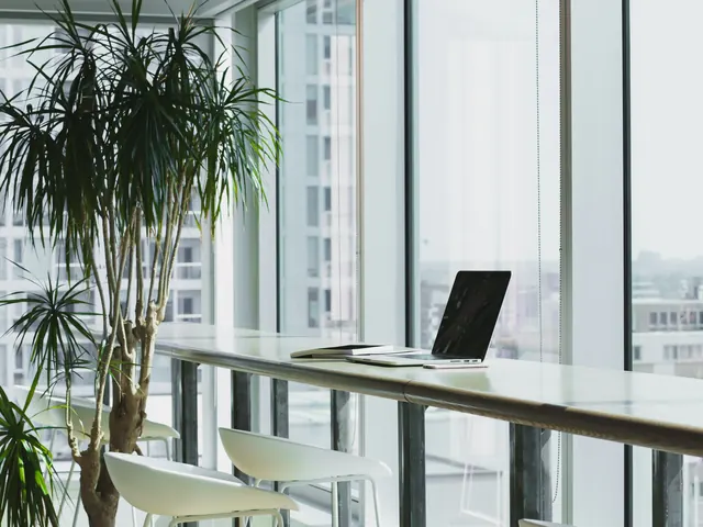 Bright office with a laptop on a long desk by a glass wall and a potted palm